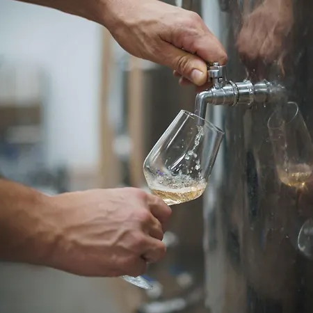 Bed and breakfast Rooms&vinery Bregovi - Sobe In Vinska Klet Bregovi Dobravlje