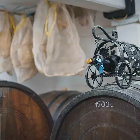 Rooms&vinery Bregovi - Sobe In Vinska Klet Bregovi Bed and Breakfast Dobravlje