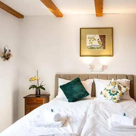 Rooms&vinery Bregovi - Sobe In Vinska Klet Bregovi Bed and Breakfast Dobravlje