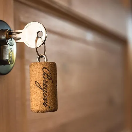 Bed and Breakfast Rooms&vinery Bregovi - Sobe In Vinska Klet Bregovi Dobravlje