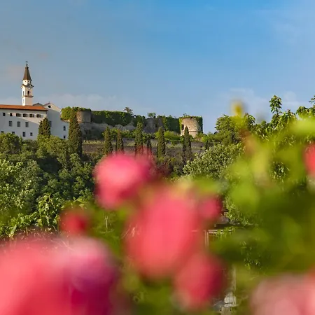 Rooms&vinery Bregovi - Sobe In Vinska Klet Bregovi 3* Dobravlje