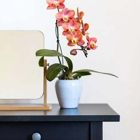 Rooms&vinery Bregovi - Sobe In Vinska Klet Bregovi 3* Dobravlje