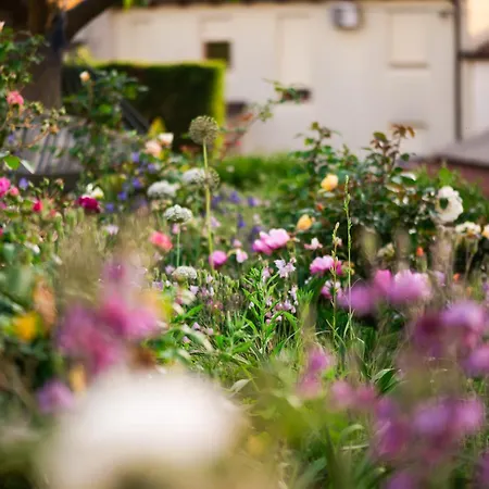 Rooms&vinery Bregovi - Sobe In Vinska Klet Bregovi Bed and breakfast 3*