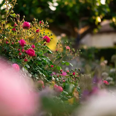 Rooms&vinery Bregovi - Sobe In Vinska Klet Bregovi Dobravlje