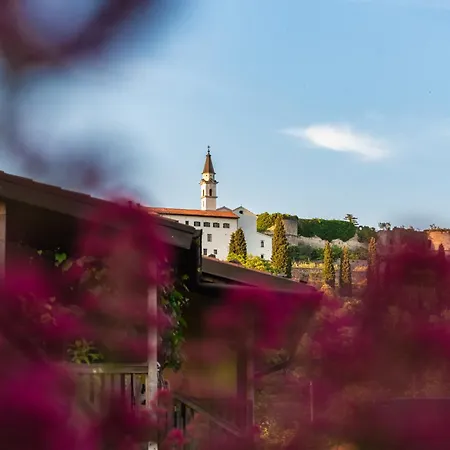 Rooms&vinery Bregovi - Sobe In Vinska Klet Bregovi Bed and Breakfast