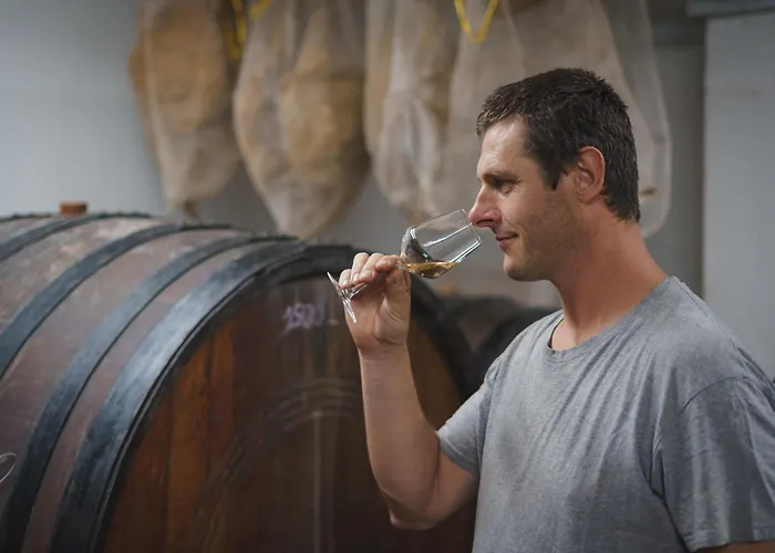 Rooms&vinery Bregovi - Sobe In Vinska Klet Bregovi