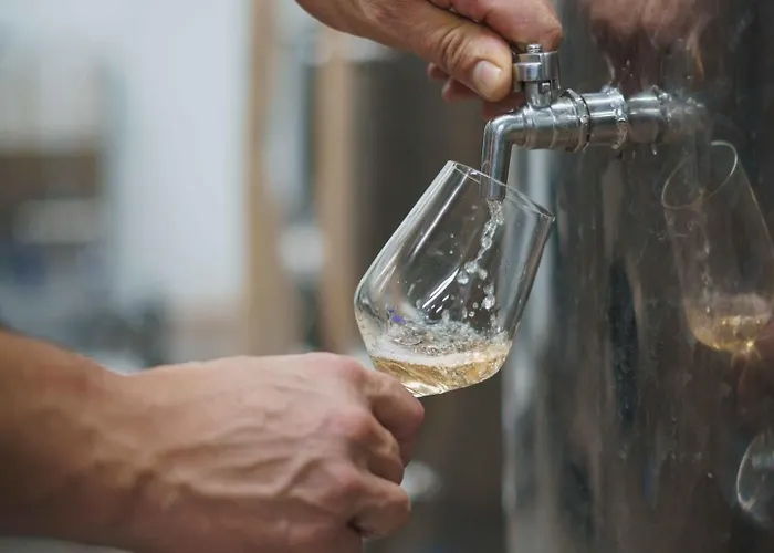 فندق مبيت وإفطار Rooms&vinery Bregovi - Sobe In Vinska Klet Bregovi Dobravlje