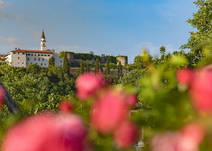 Rooms&vinery Bregovi - Sobe In Vinska Klet Bregovi 3* Dobravlje