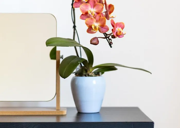 Rooms&vinery Bregovi - Sobe In Vinska Klet Bregovi 3* Dobravlje