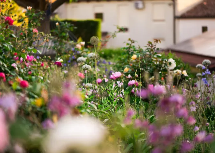 Rooms&vinery Bregovi - Sobe In Vinska Klet Bregovi فندق مبيت وإفطار 3*