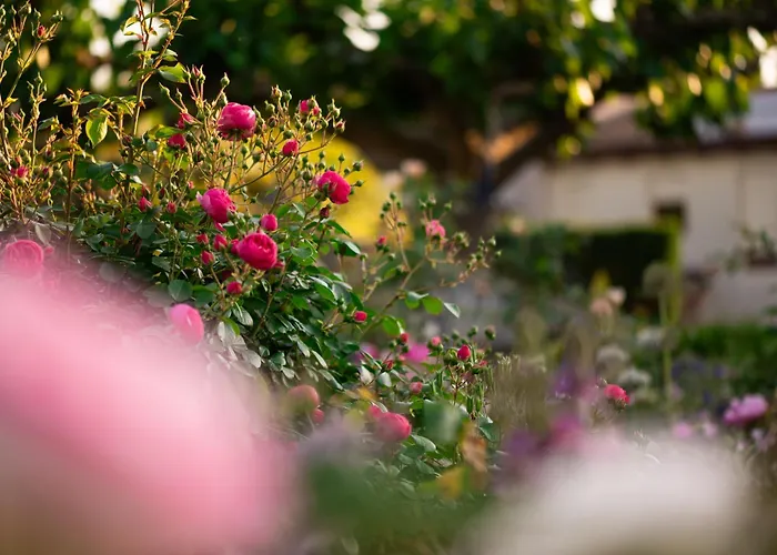 Rooms&vinery Bregovi - Sobe In Vinska Klet Bregovi Dobravlje